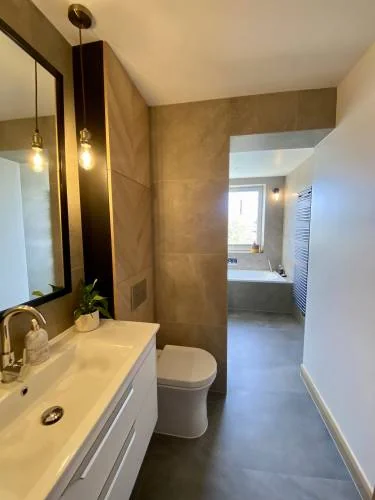 Modern vanity and concealed toilet